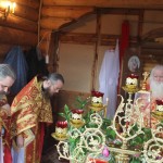 "Соборное Богослужение духовенства Кадомского благочиния