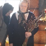 "5 апреля 2015 года, неделя 6-я ваий, Вход Господень в Иерусалим".
